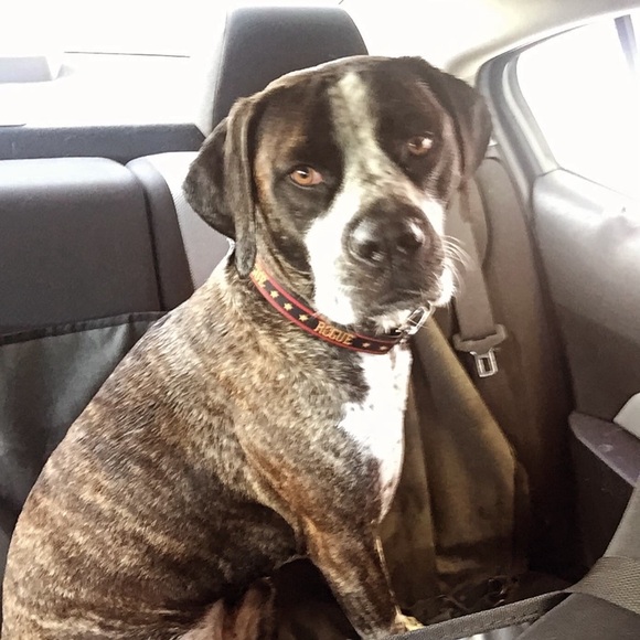 Meet your Posher, Jaimee - Picture 13 of 15